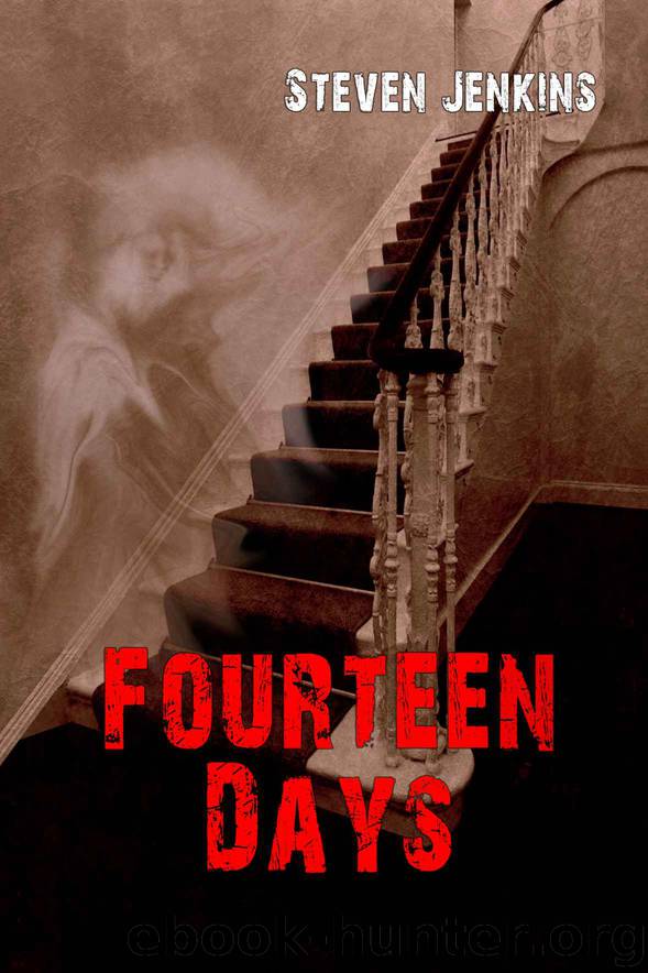 Fourteen Days by Steven Jenkins