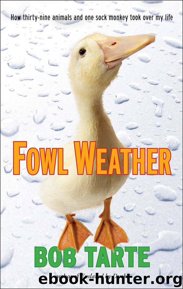 Fowl Weather by Bob Tarte