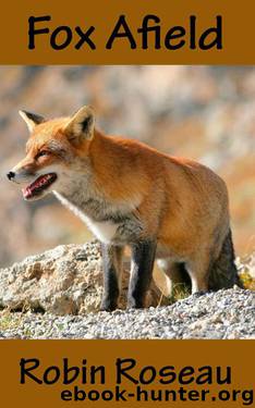 Fox Afield by Robin Roseau