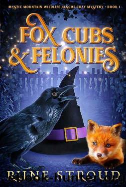 Fox Cubs and Felonies (Mystic Meadows Wildlife Rescue Cozy Mystery Book 1) by Rune Stroud