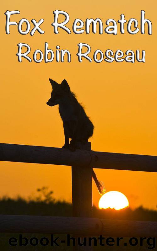 Fox Rematch (The Madison Wolves Book 10) by Roseau Robin
