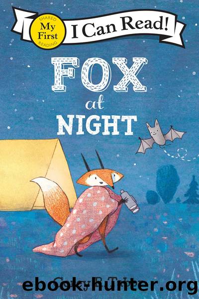 Fox at Night by Corey R. Tabor