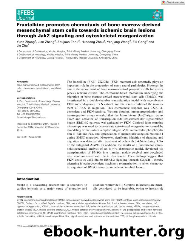 Fractalkine promotes chemotaxis of bone marrowâderived mesenchymal stem cells towards ischemic brain lesions through Jak2 signaling and cytoskeletal reorganization by Unknown
