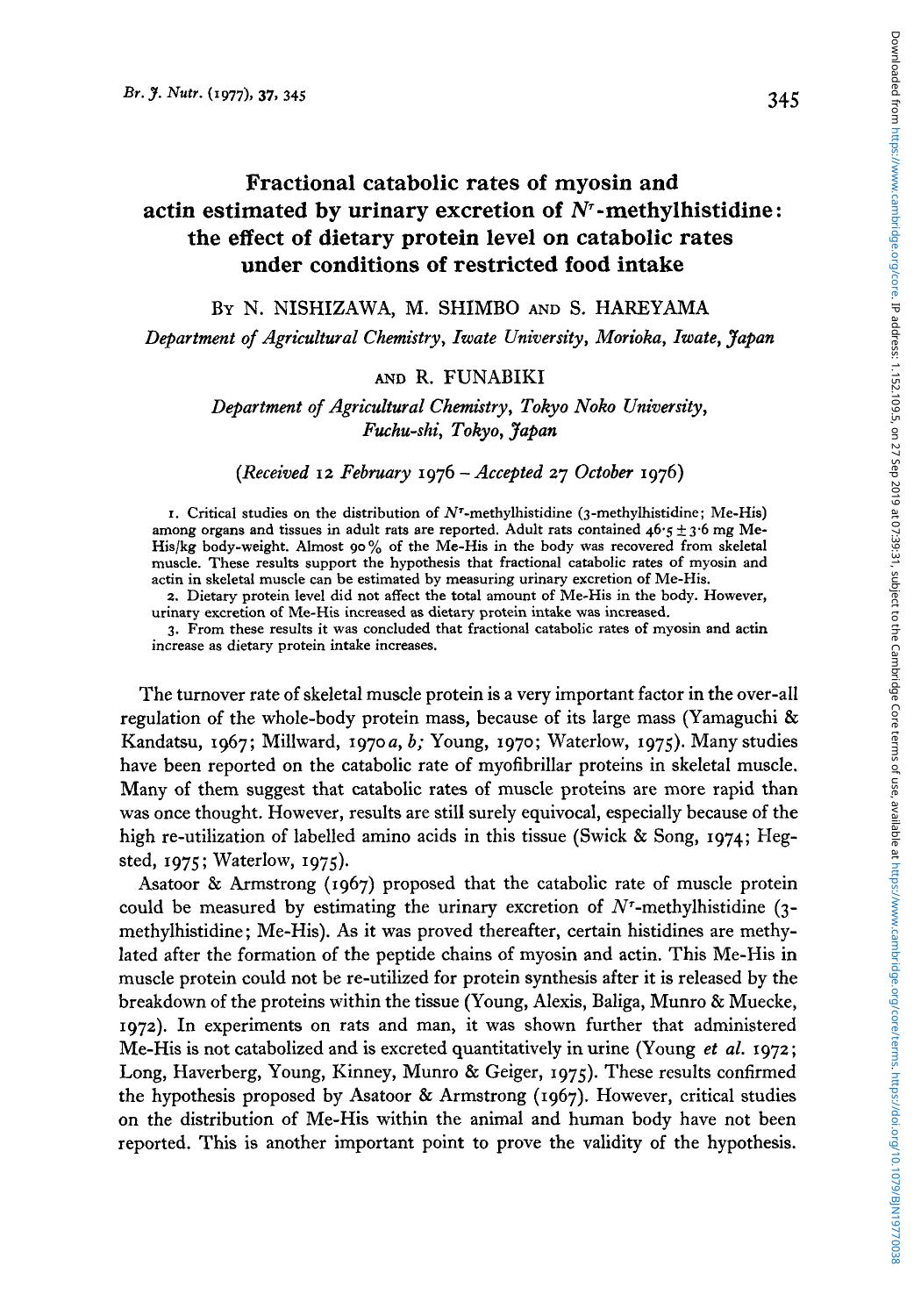 Fractional catabolic rates of myosin and actin estimated by urinary excretion of NT-methylhistidine: the effect of dietary protein level on catabolic rates under conditions of restricted food intake by N. Nishizawa M. Shimbo S. Hareyama R. Funabiki