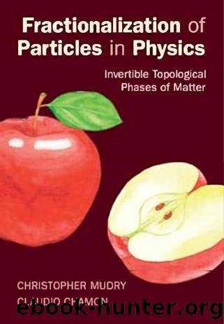 Fractionalization of Particles in Physics by Unknown