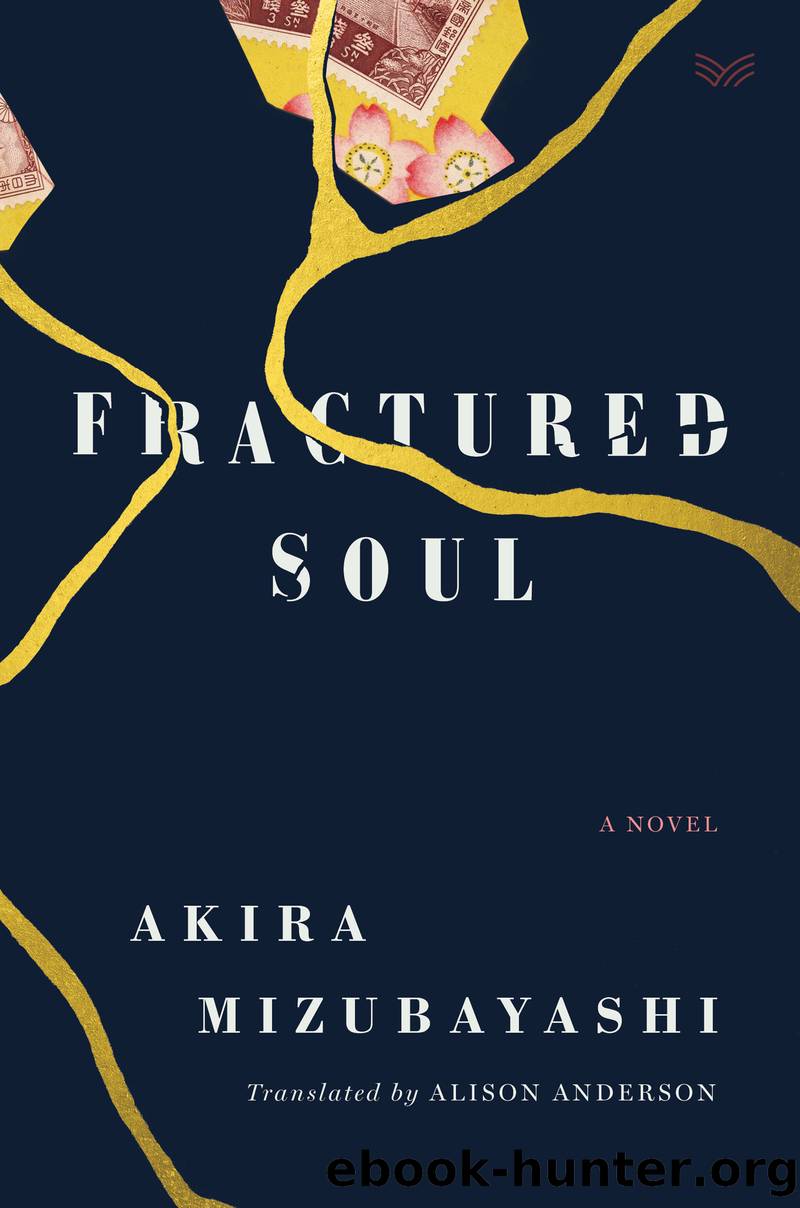 Fractured Soul by Akira Mizubayashi