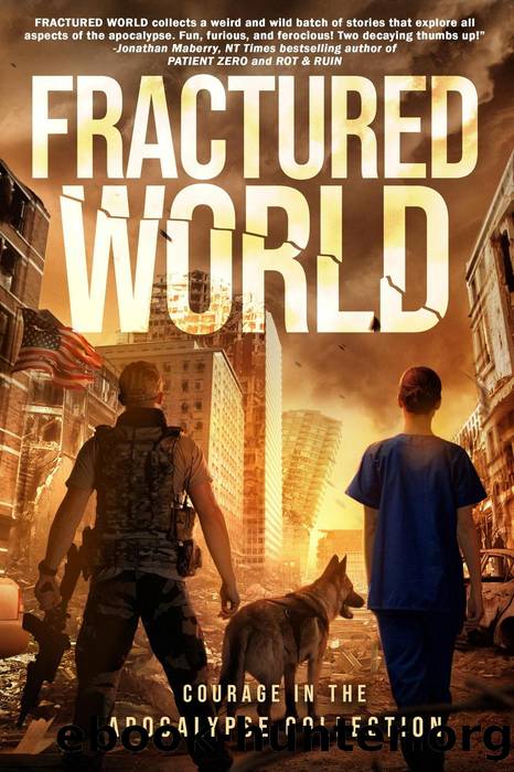 Fractured World by unknow