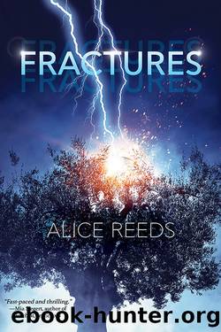 Fractures by Alice Reeds