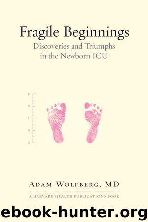 Fragile Beginnings by Adam Wolfberg MD