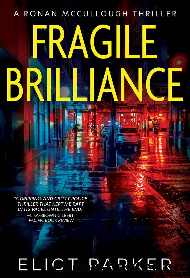 Fragile Brilliance by Eliot Parker