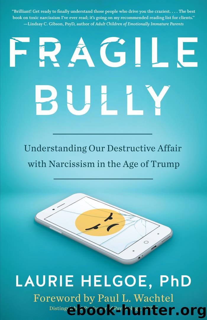 Fragile Bully by Laurie Helgoe