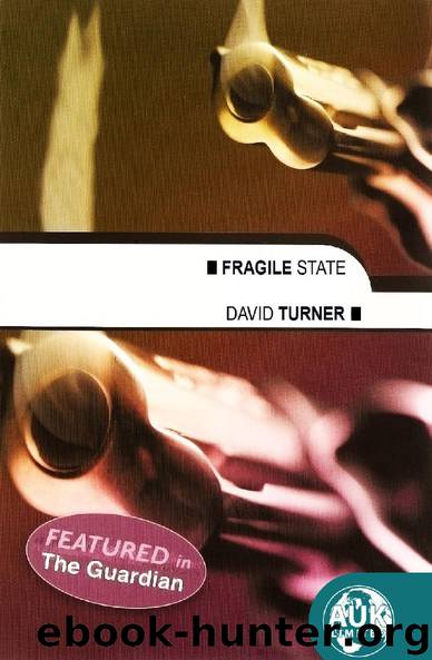 Fragile State by David Turner