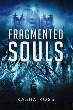 Fragmented Souls by Kasha Ross
