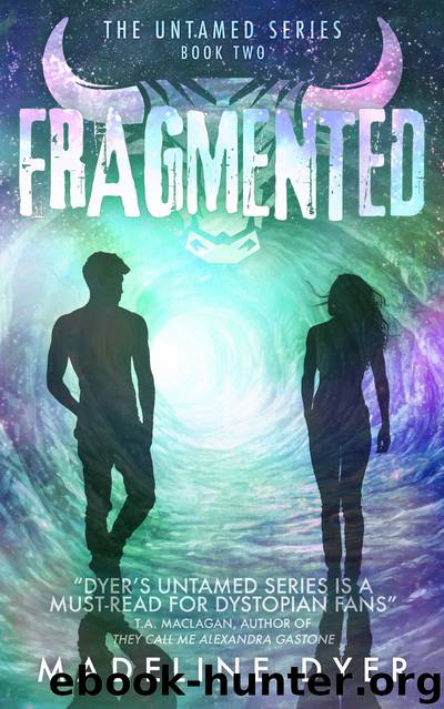 Fragmented by Madeline Dyer