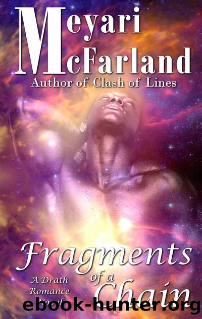 Fragments of a Chain by Meyari McFarland