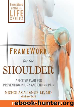 FrameWork for the Shoulder by Nicholas A. DiNubile