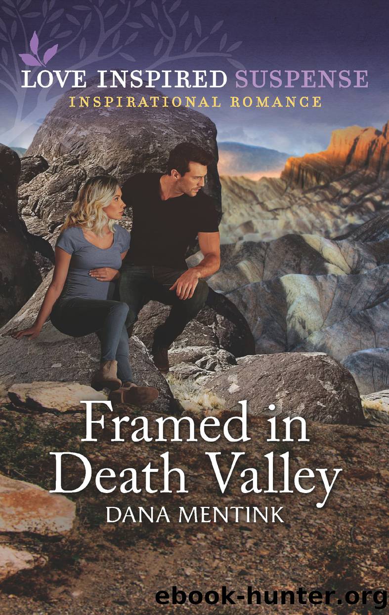 Framed in Death Valley by Dana Mentink