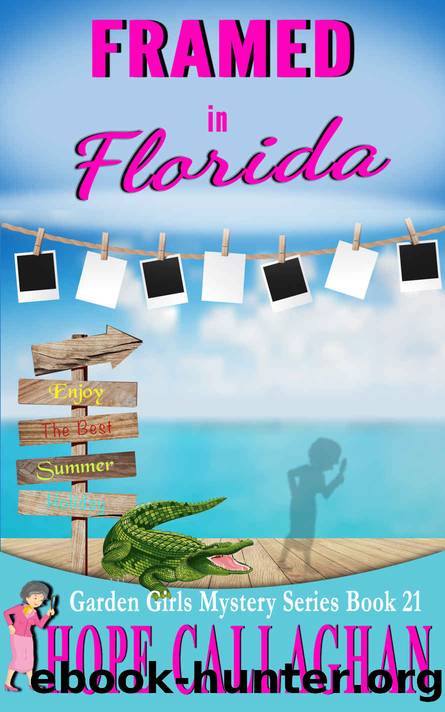 Framed in Florida: A Garden Girls Cozy Mystery (Garden Girls Christian Cozy Mystery Series Book 21) by Hope Callaghan