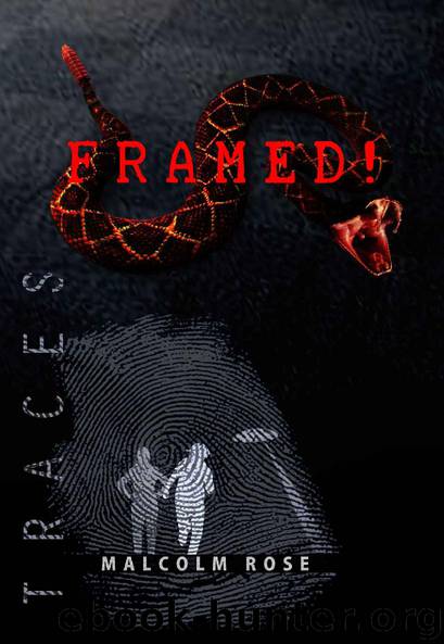 Framed! by Malcolm Rose