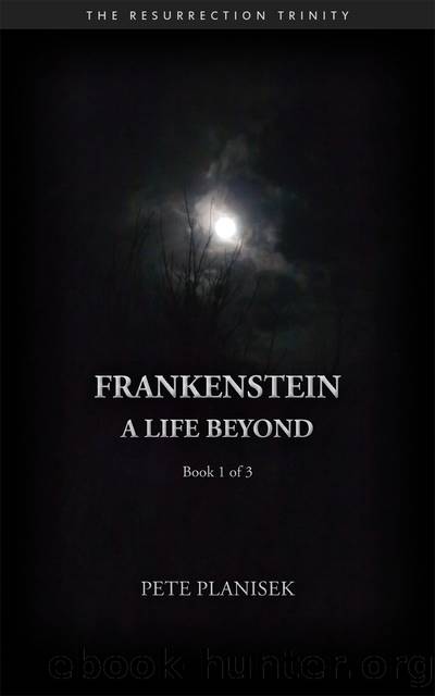 Frankenstein a Life Beyond (Book 1 of 3) the Resurrection Trinity by Pete Planisek