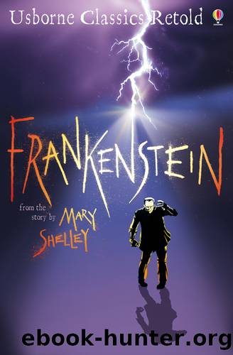 Frankenstein by John Grant