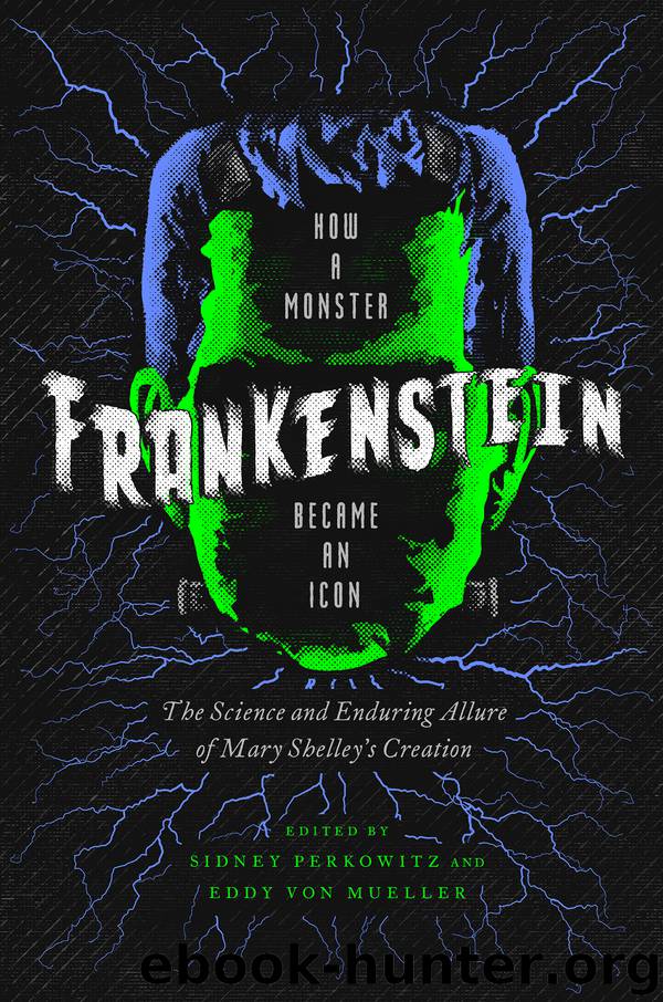 Frankenstein by Sidney Perkowitz