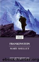 Frankenstein o el moderno prometeo(v.1) by Mary Shelley