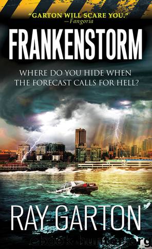 Frankenstorm (Frankenstorm #1-6) by Ray Garton