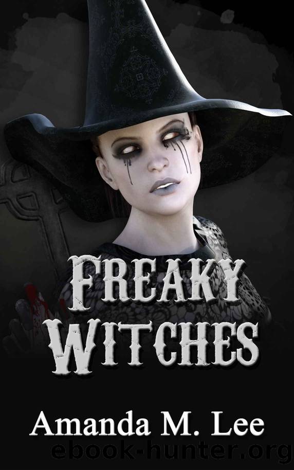 Freaky Witches by Amanda M. Lee