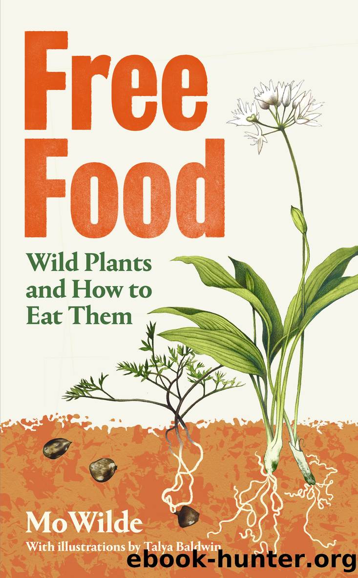 Free Food by Mo Wilde