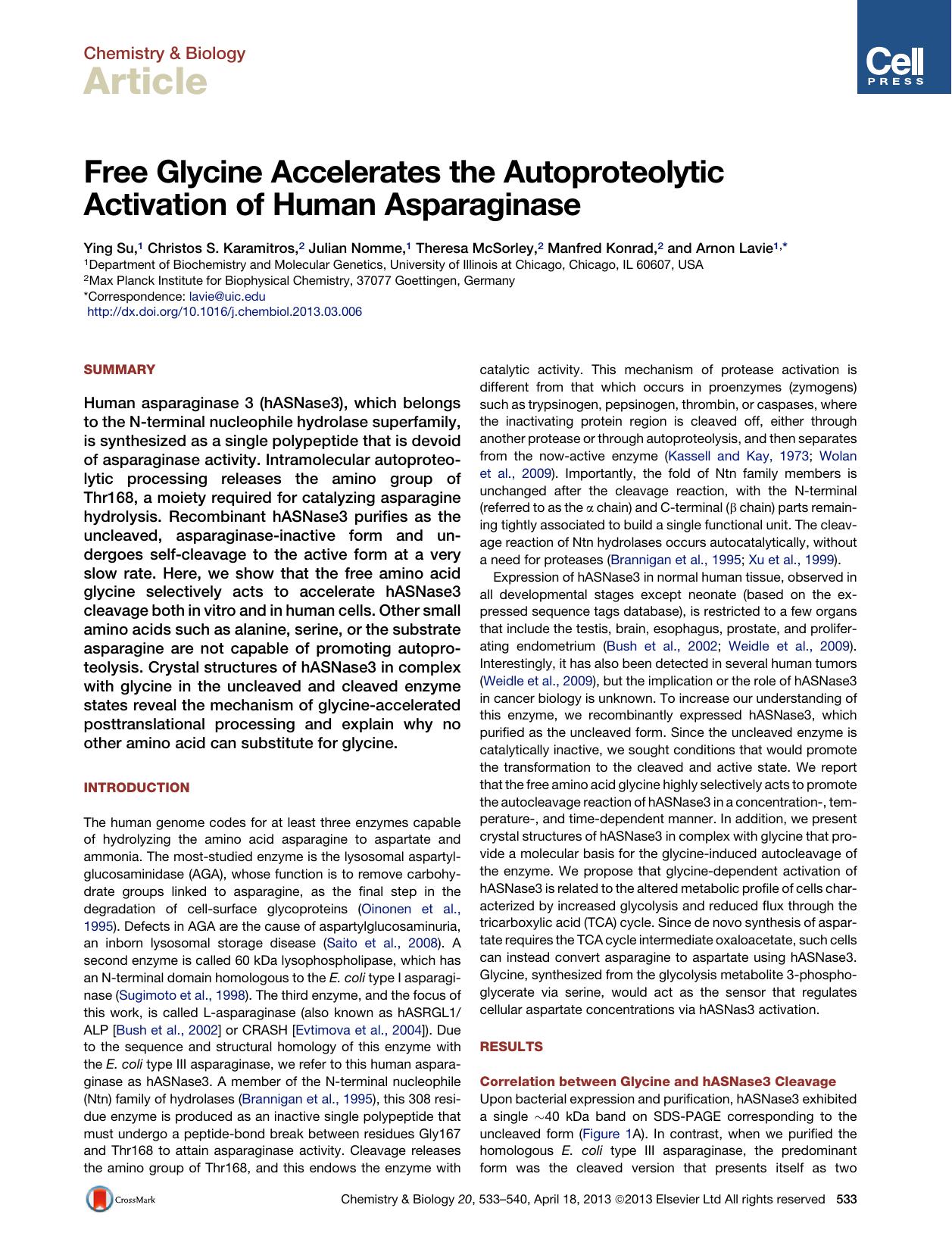 Free Glycine Accelerates the Autoproteolytic Activation of Human Asparaginase by Ying Su & Christos S. Karamitros & Julian Nomme & Theresa McSorley & Manfred Konrad & Arnon Lavie