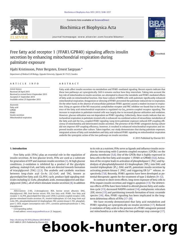 Free fatty acid receptor 1 (FFAR1GPR40) signaling affects insulin secretion by enhancing mitochondrial respiration during palmitate exposure by Hjalti Kristinsson & Peter Bergsten & Ernest Sargsyan