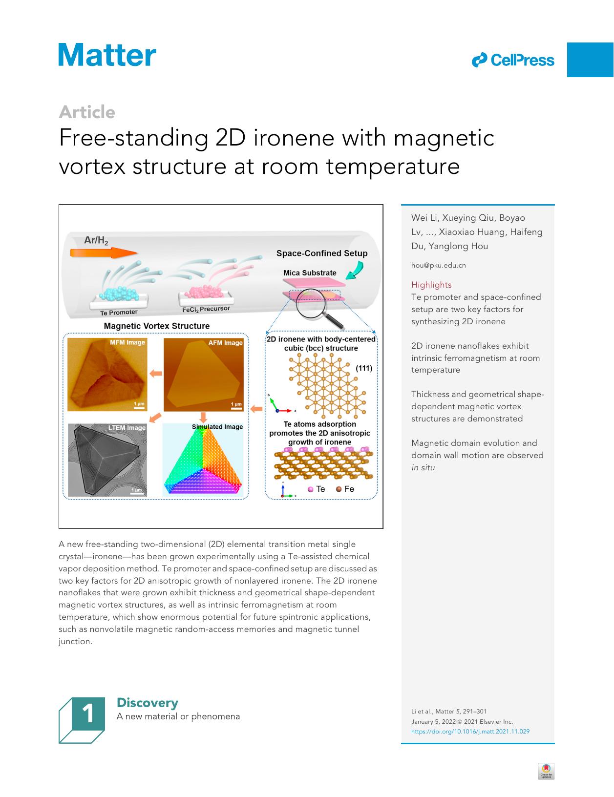 Free-standing 2D ironene with magnetic vortex structure at room temperature by unknow