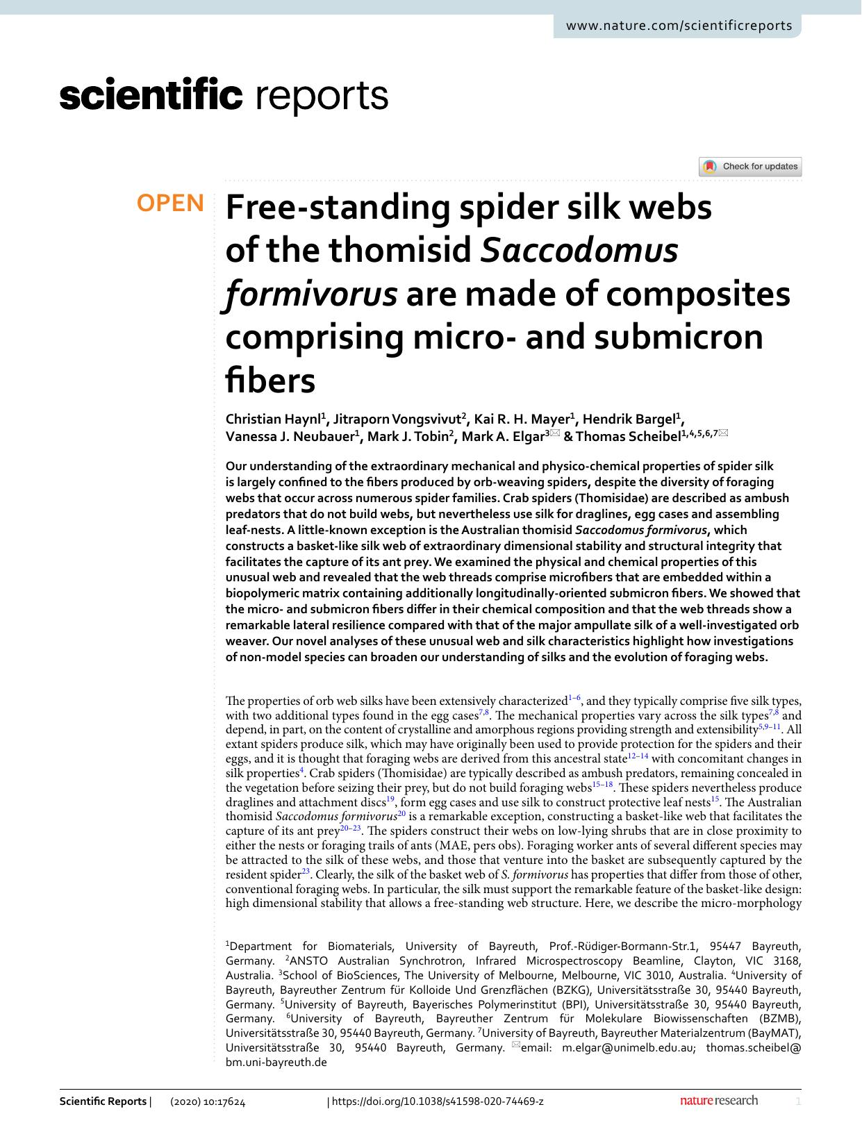 Free-standing spider silk webs of the thomisid Saccodomus formivorus are made of composites comprising micro- and submicron fibers by unknow