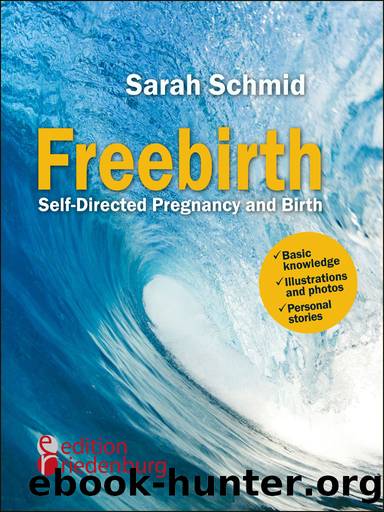 Freebirth--Self-Directed Pregnancy and Birth by Sarah Schmid