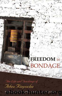 Freedom in Bondage: The Life and Teachings of Adeu Rinpoche by Rinpoche Adeu & Schmidt Marcia Binder