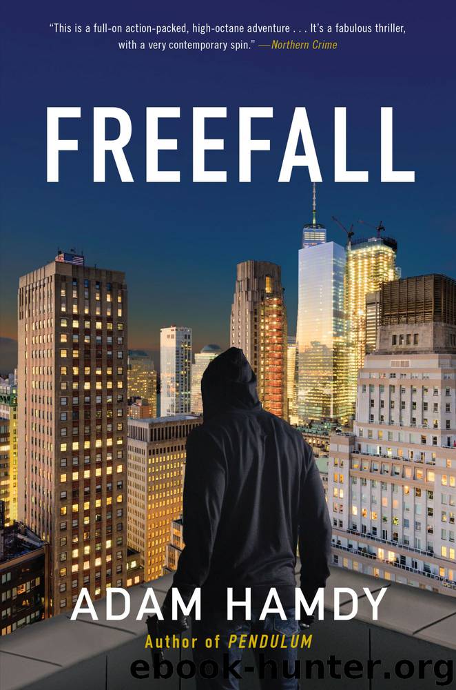 Freefall by Adam Hamdy