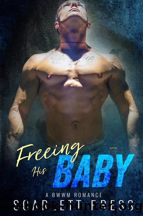 Freeing His Baby by Scarlett Press