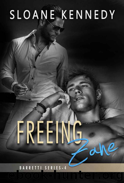 Freeing Zane (Barretti Security Book 4) by Sloane Kennedy