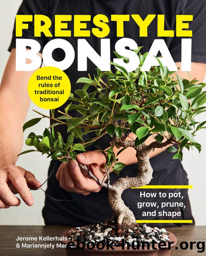 Freestyle Bonsai by Kellerhals Jerome;Marval Mariannjely;