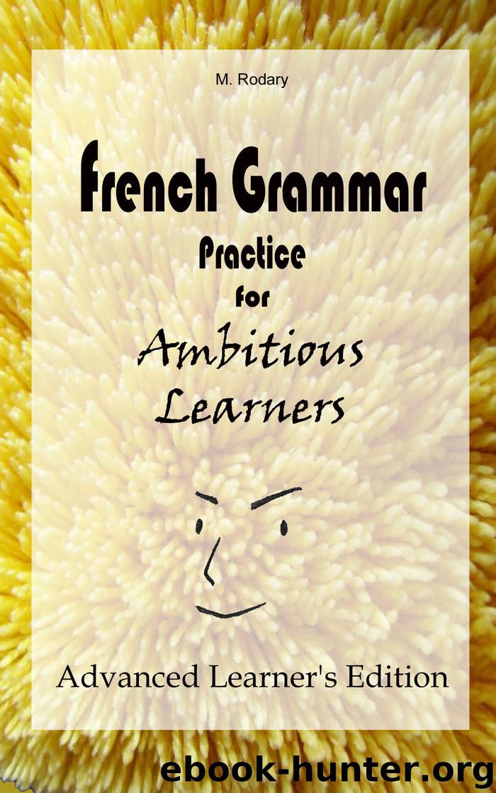 French Grammar Practice for Ambitious Learners – Advanced Learner’s Edition by M. Rodary