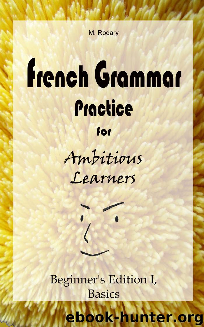 French Grammar Practice for Ambitious Learners - Beginner’s Edition I, Basics by M. Rodary