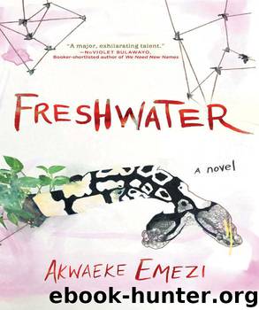 Freshwater by Emezi Akwaeke