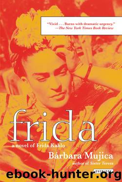 Frida by Barbara Mujica