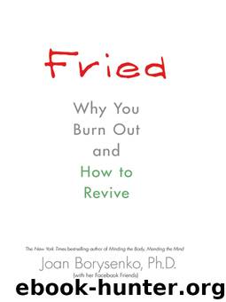 Fried by Joan Borysenko