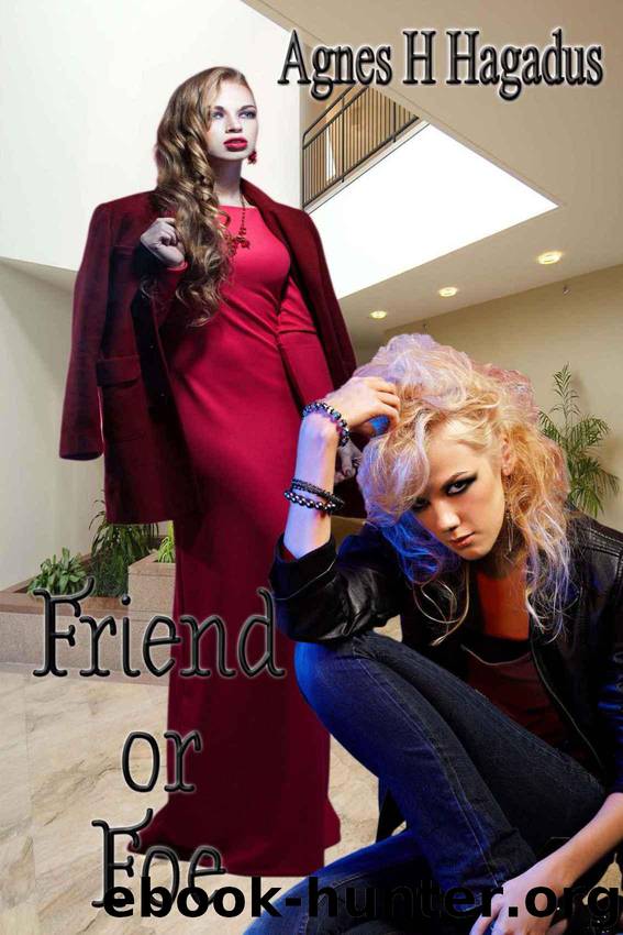 Friend or Foe (Soulmates Andrea and Alicia Book 2) by Agnes H. Hagadus