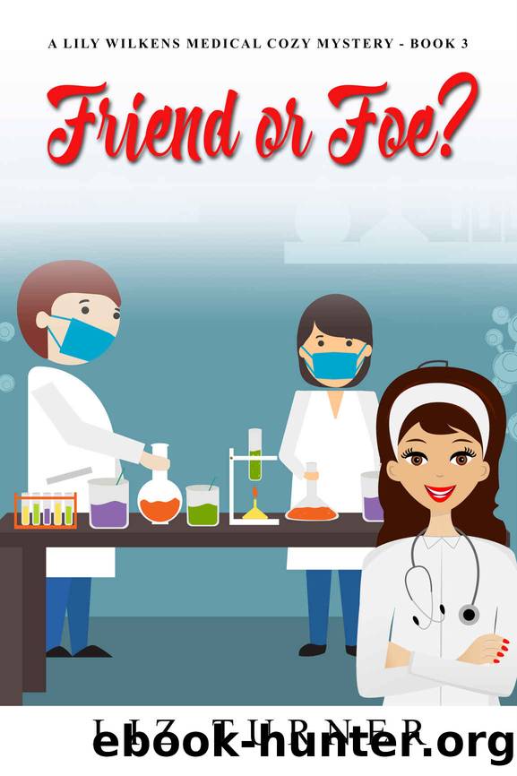 Friend or Foe by Liz Turner