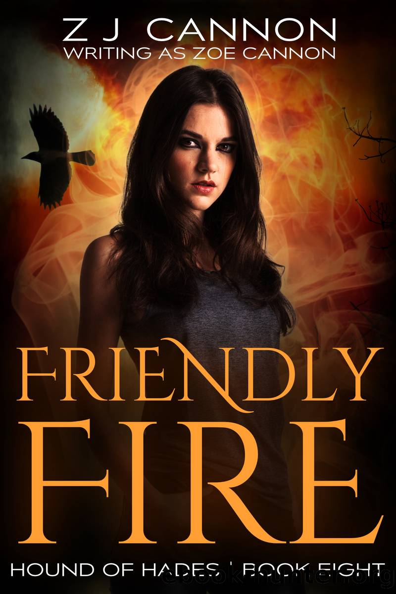 Friendly Fire by Z.J. Cannon
