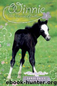 Friendly Foal by Dandi Daley Mackall