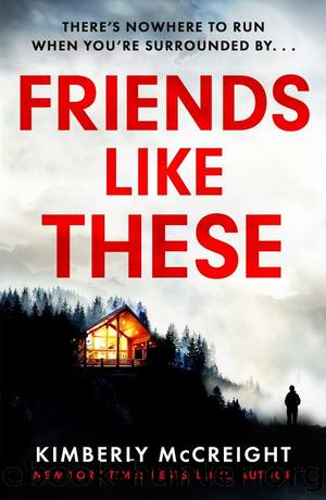 Friends Like These by Kimberly McCreight